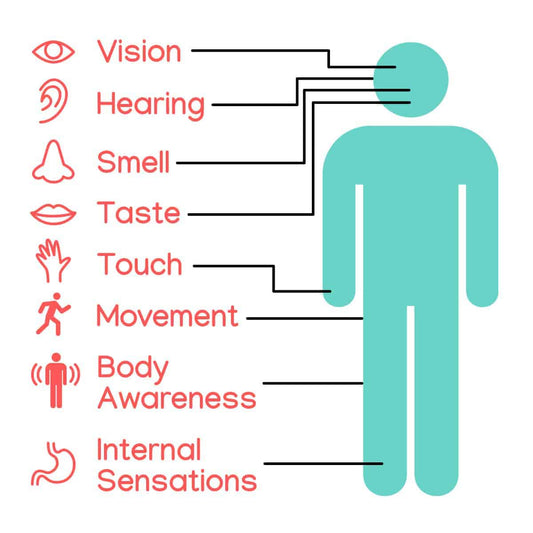 Sensory Processing Symptom Test