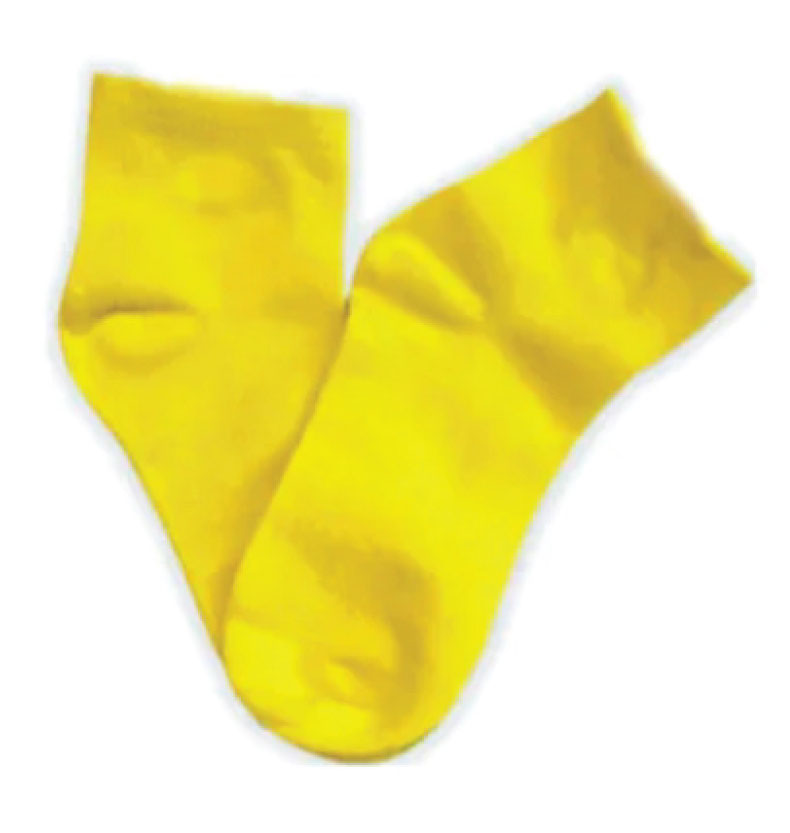 ANKLE 5-Pack Seamless Toe Socks great with Sensory Sensitivities